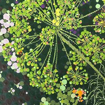 Dill